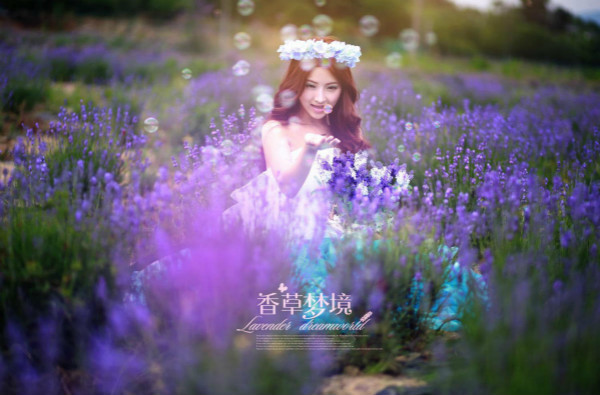 broken image
